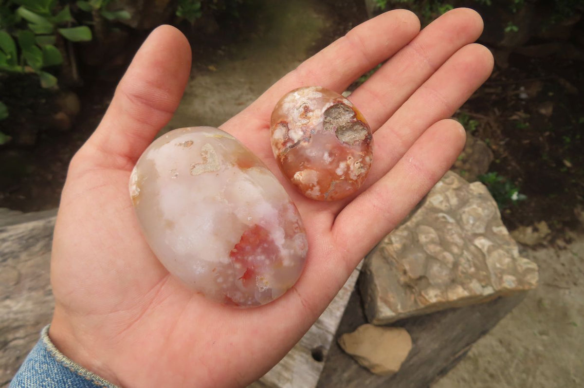 Polished Flower Agate Palm Stones x 24 From Madagascar - Toprock Gemstones and Minerals 