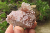 Natural Red Hematoid Quartz Clusters x 12 From Karoi, Zimbabwe