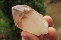 Natural Red Hematoid Quartz Clusters x 12 From Karoi, Zimbabwe