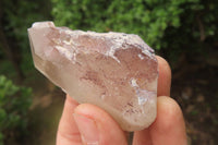Natural Red Hematoid Quartz Clusters x 12 From Karoi, Zimbabwe