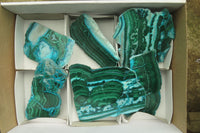 Polished Malacolla Slices x 6 From Kolwezi, Congo