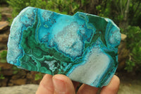 Polished Malacolla Slices x 6 From Kolwezi, Congo