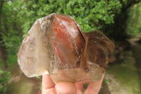 Polished Smokey Quartz Crystals x 2 From Madagascar - Toprock Gemstones and Minerals 
