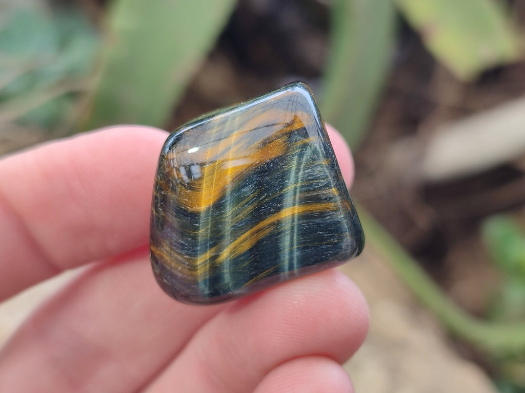 Varigated Rocks Polished Medium Blue and Gold Variegated Tigers Eye Tumble Stones - so ...
