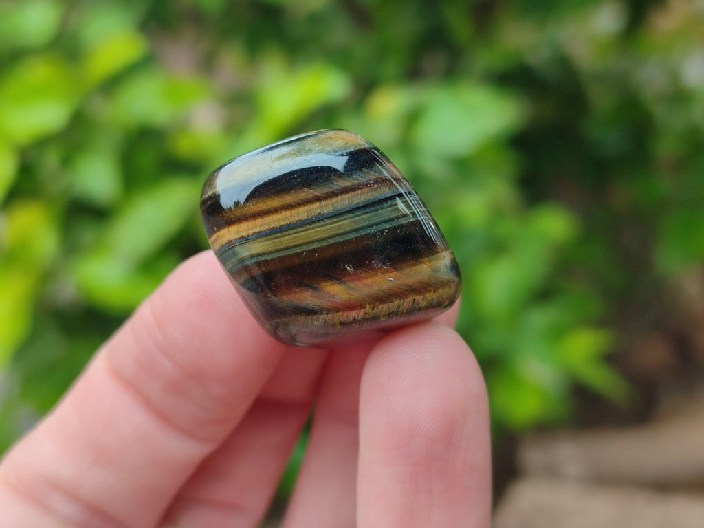 Varigated Rocks Polished Medium Blue and Gold Variegated Tigers Eye Tumble Stones - so ...