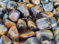 Polished Medium Blue and Gold Variegated Tigers Eye Tumble Stones - sold per KG - From South Africa - Toprock Gemstones and Minerals 