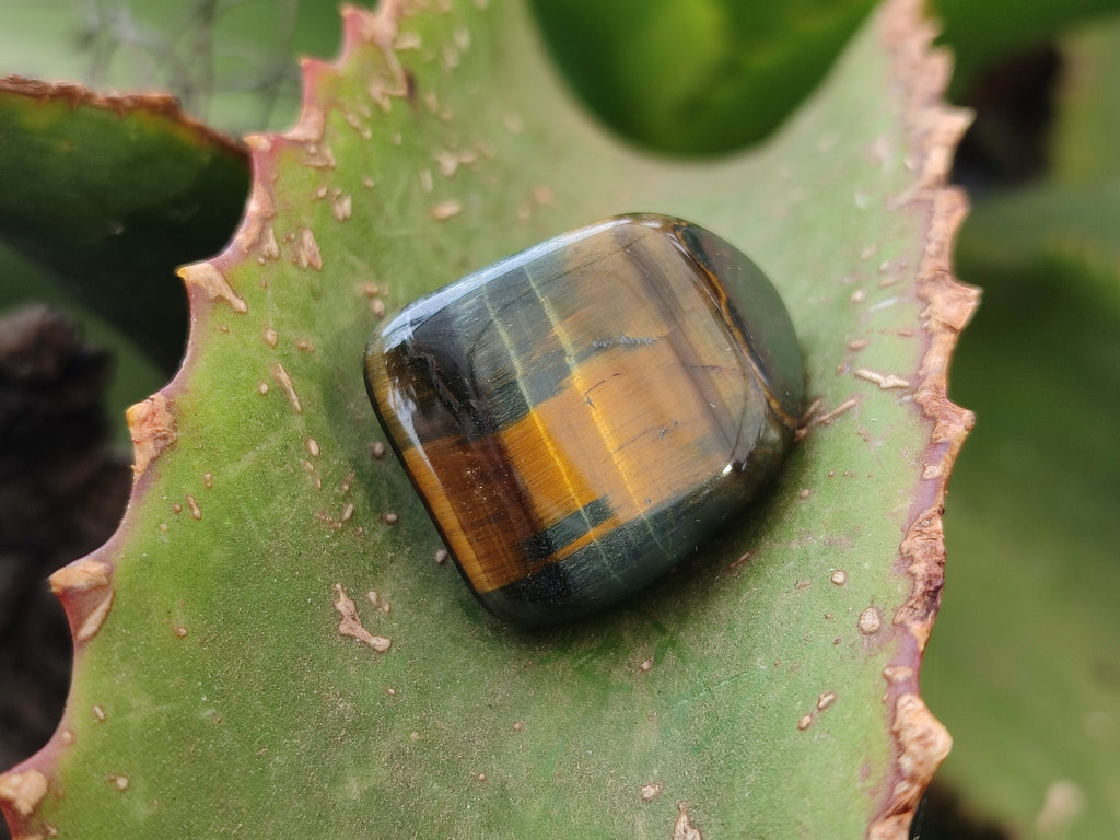 Varigated Rocks Polished Medium Blue and Gold Variegated Tigers Eye Tumble Stones - so ...