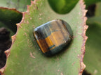 Polished Medium Blue and Gold Variegated Tigers Eye Tumble Stones - sold per KG - From South Africa - Toprock Gemstones and Minerals 