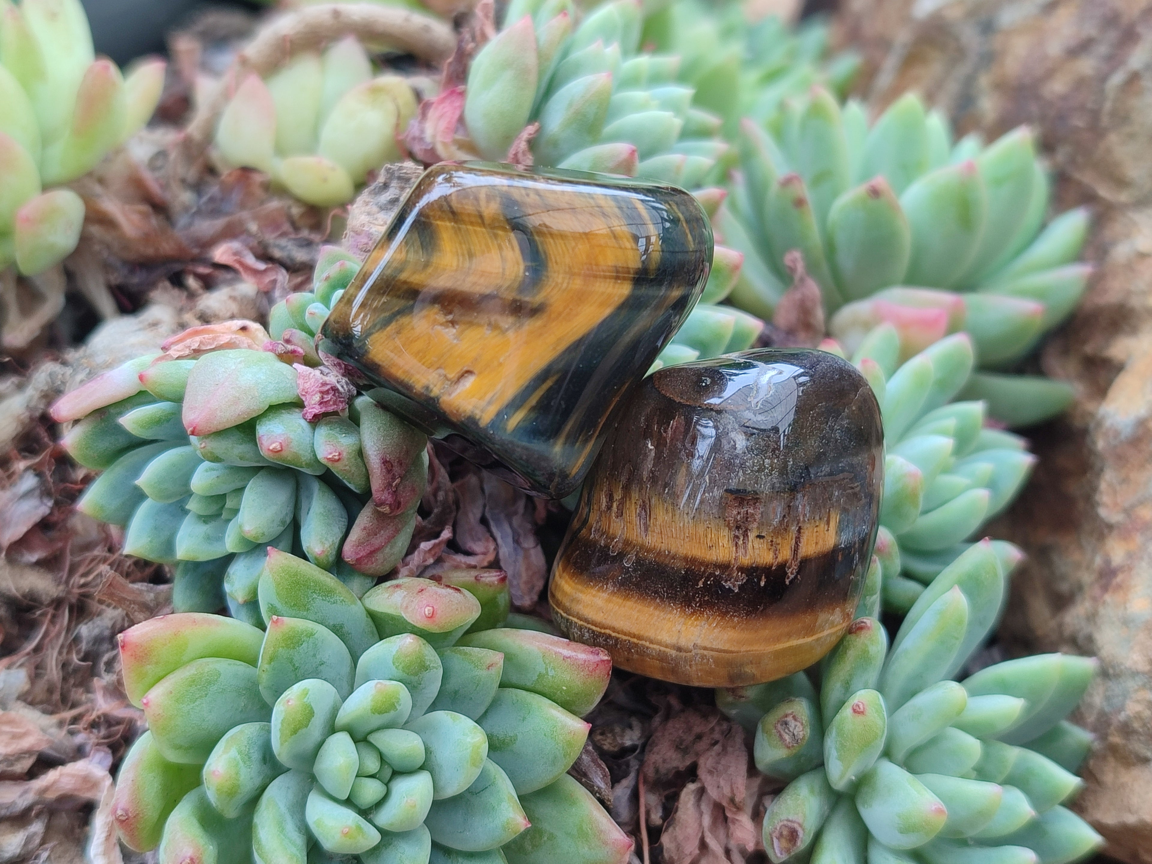 Polished Medium Blue and Gold Variegated Tigers Eye Tumble Stones - sold per KG - From South Africa - Toprock Gemstones and Minerals 