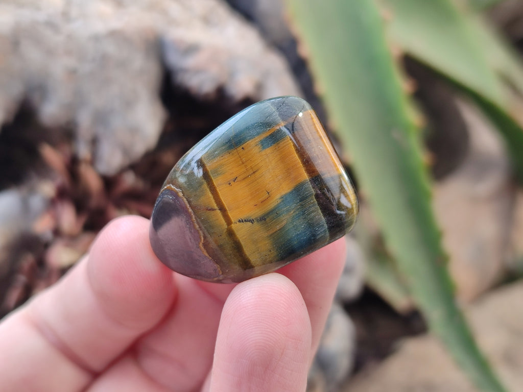 Varigated Rocks Polished Medium Blue and Gold Variegated Tigers Eye Tumble Stones - so ...