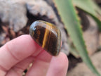 Polished Medium Blue and Gold Variegated Tigers Eye Tumble Stones - sold per KG - From South Africa - Toprock Gemstones and Minerals 