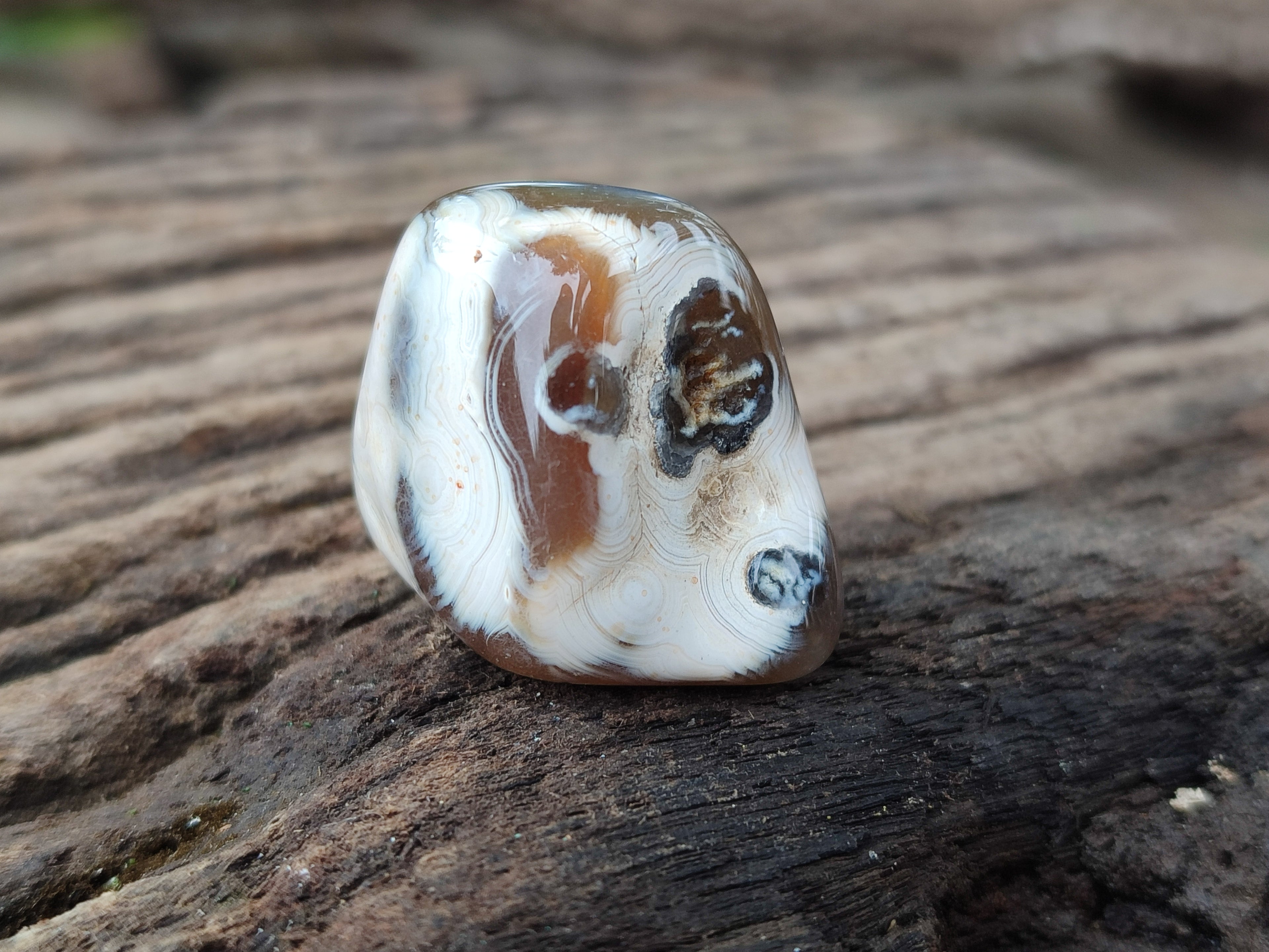 Polished Botswana Agate Tumbled Stones - Sold Per KG - From Botswana - Toprock Gemstones and Minerals 