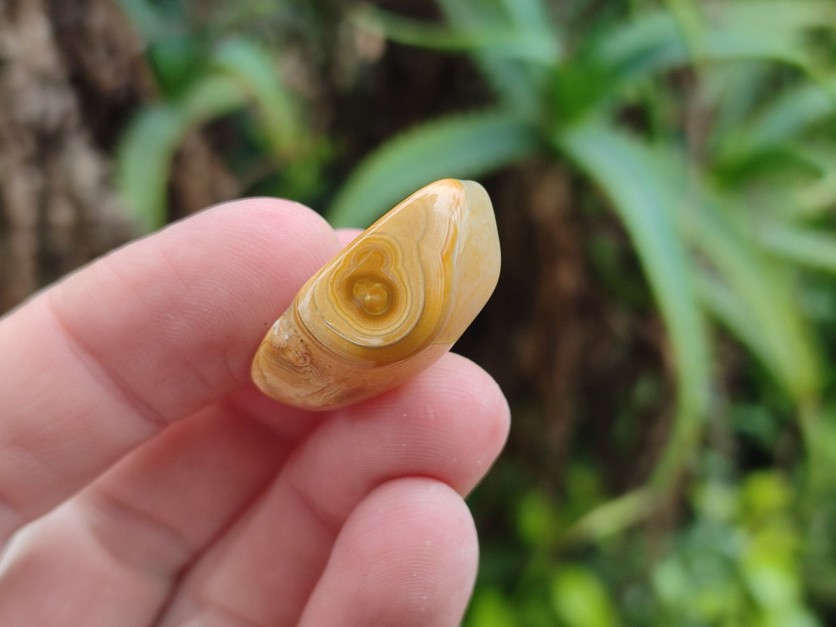 Polished Botswana Agate Tumbled Stones - Sold Per KG - From Botswana - Toprock Gemstones and Minerals 