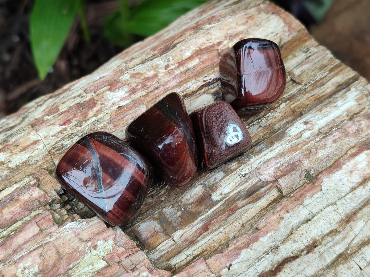 Polished Red Tigers Eye Tumble Stones - sold per KG - From South Africa - Toprock Gemstones and Minerals 