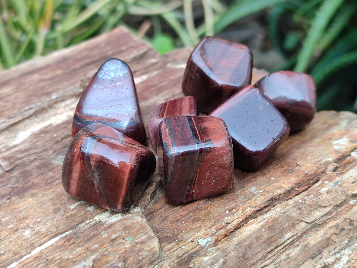 Polished Red Tigers Eye Tumble Stones - sold per KG - From South Africa - Toprock Gemstones and Minerals 
