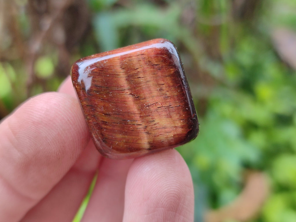 Polished Red Tigers Eye Tumble Stones - sold per KG - From South Africa - Toprock Gemstones and Minerals 