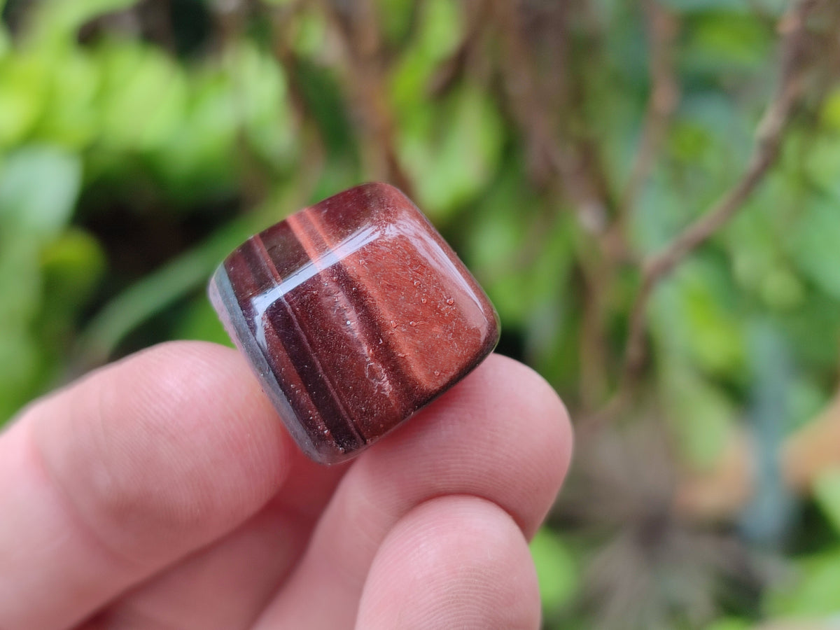 Polished Red Tigers Eye Tumble Stones - sold per KG - From South Africa - Toprock Gemstones and Minerals 