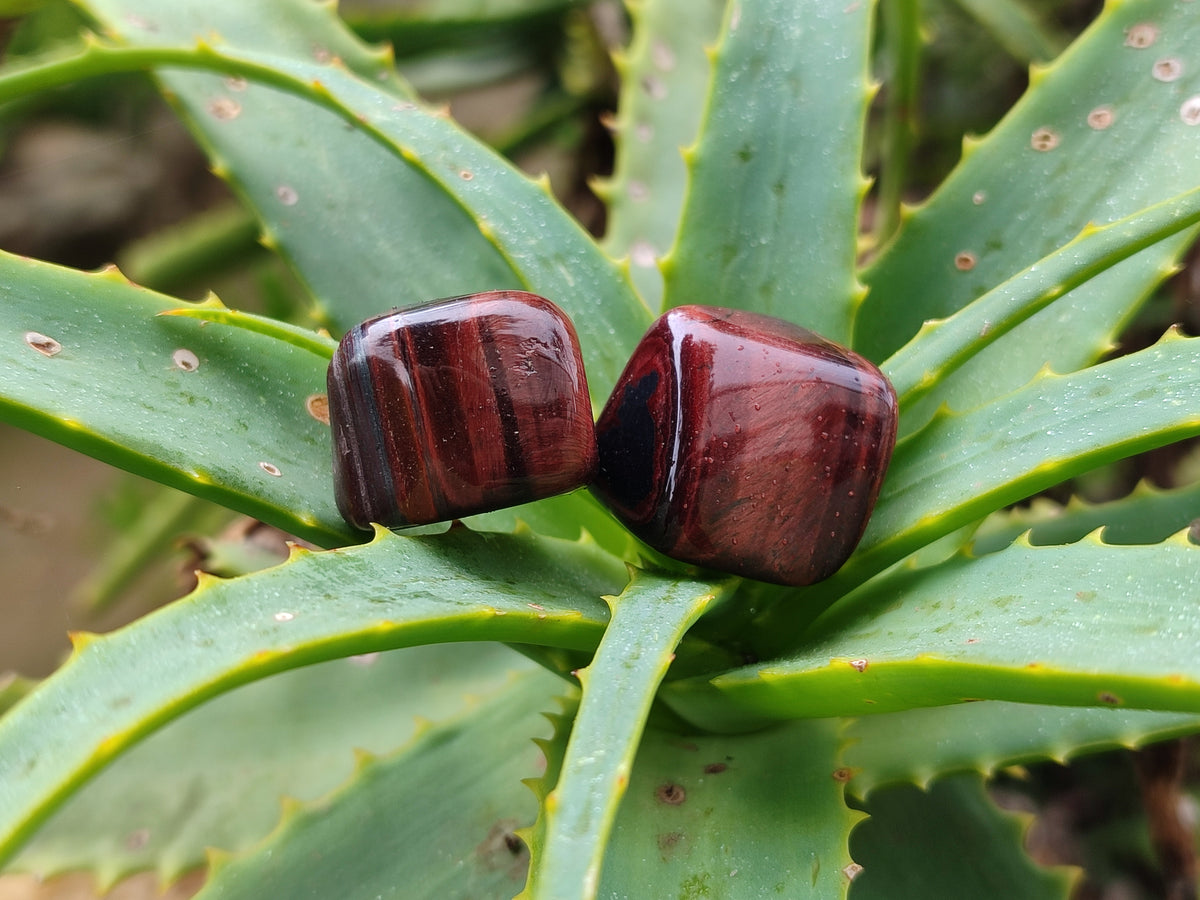 Polished Red Tigers Eye Tumble Stones - sold per KG - From South Africa - Toprock Gemstones and Minerals 