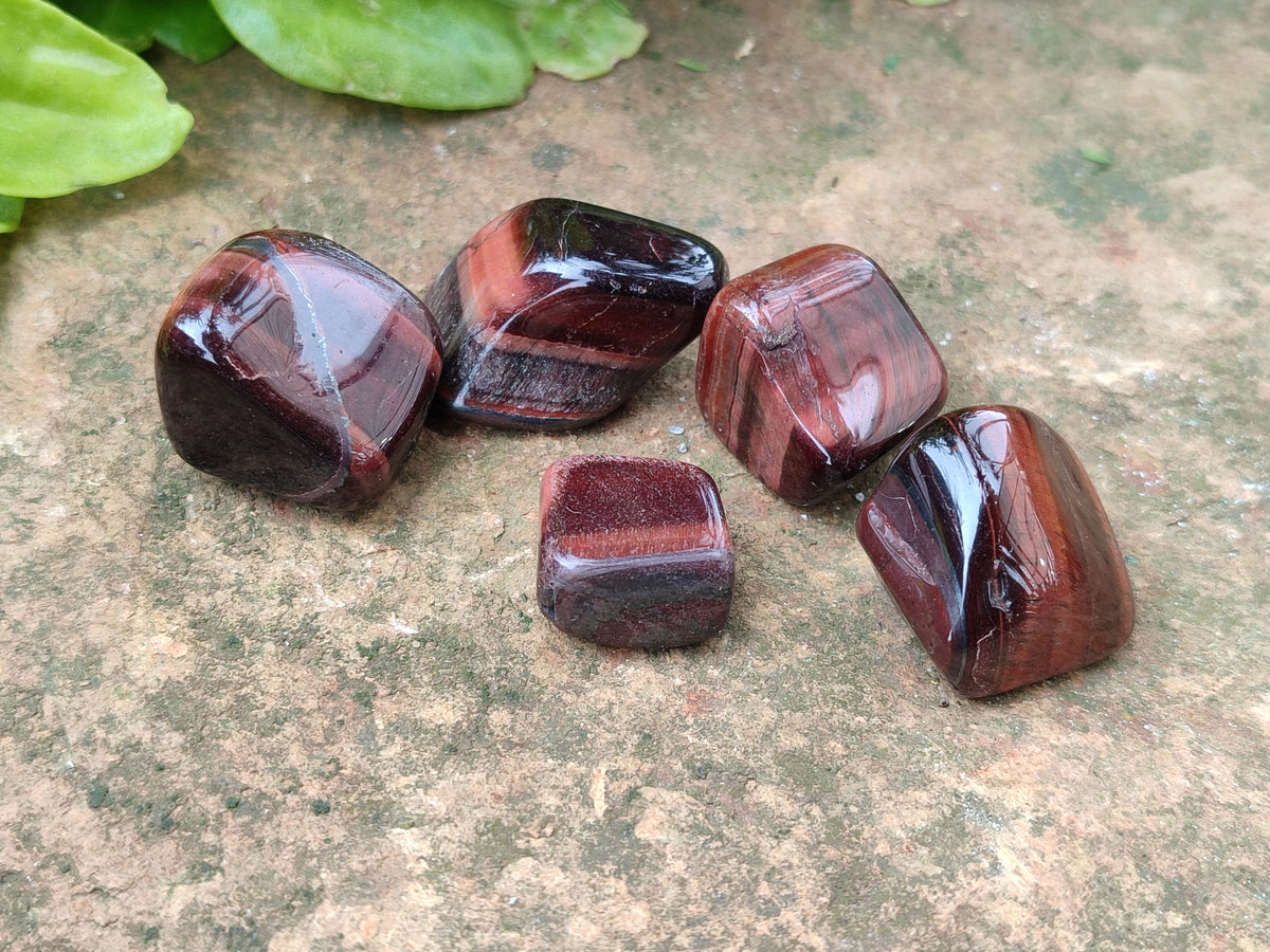 Polished Red Tigers Eye Tumble Stones - sold per KG - From South Africa - Toprock Gemstones and Minerals 