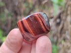 Polished Red Tigers Eye Tumble Stones - sold per KG - From South Africa - Toprock Gemstones and Minerals 