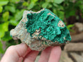 Natural Botryoidal Malachite Specimens x 6 From Tenke Fungurume, Congo - Toprock Gemstones and Minerals 