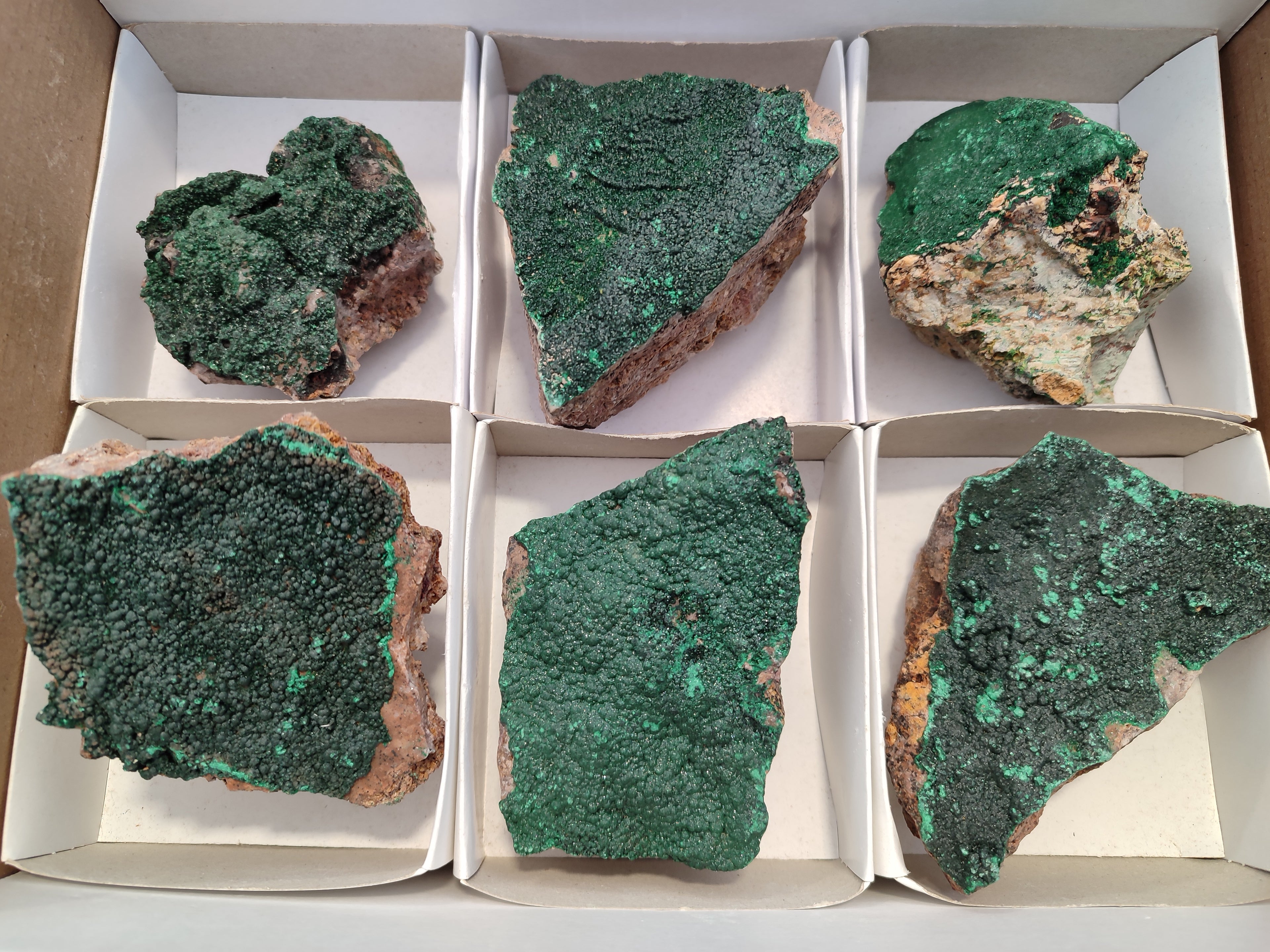 Natural Botryoidal Malachite Specimens x 6 From Tenke Fungurume, Congo - Toprock Gemstones and Minerals 