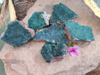 Natural Botryoidal Malachite Specimens x 6 From Tenke Fungurume, Congo - Toprock Gemstones and Minerals 