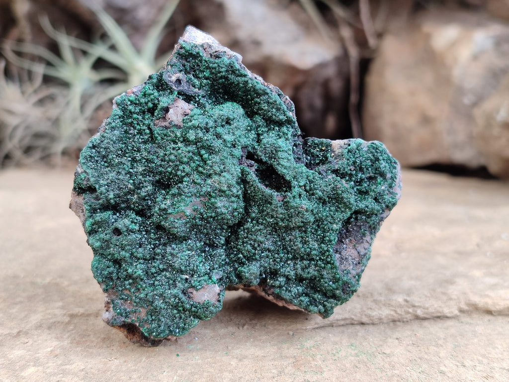 Natural Botryoidal Malachite Specimens x 6 From Tenke Fungurume, Congo - Toprock Gemstones and Minerals 