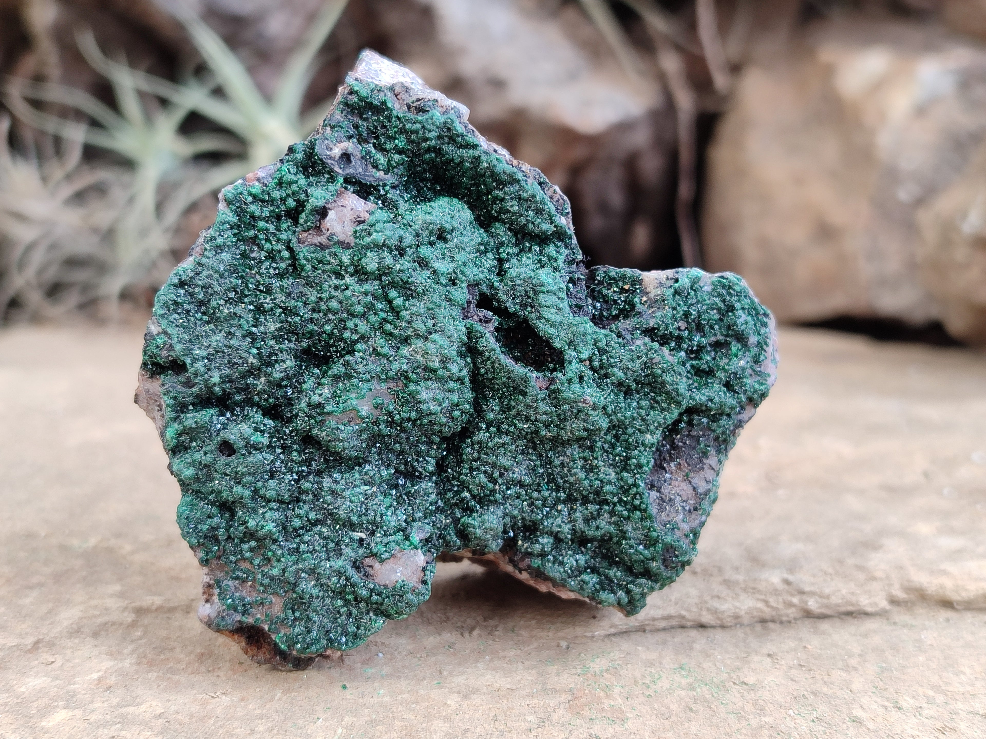 Natural Botryoidal Malachite Specimens x 6 From Tenke Fungurume, Congo - Toprock Gemstones and Minerals 