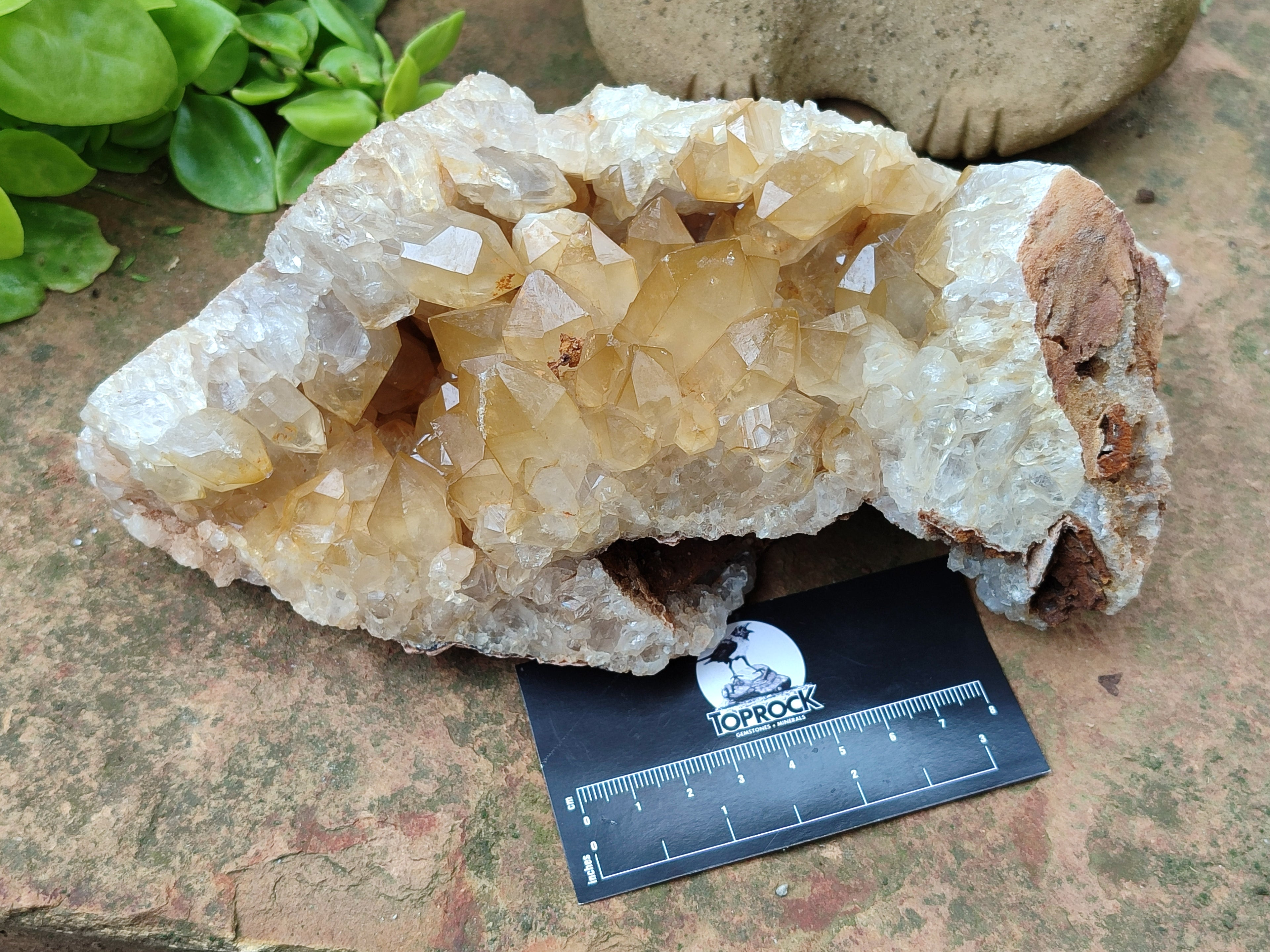 Natural Limonite Quartz Clusters x 3 From Solwezi, Zambia - Toprock Gemstones and Minerals 