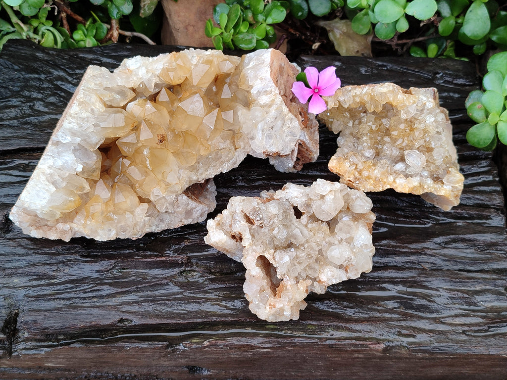 Natural Limonite Quartz Clusters x 3 From Solwezi, Zambia - Toprock Gemstones and Minerals 