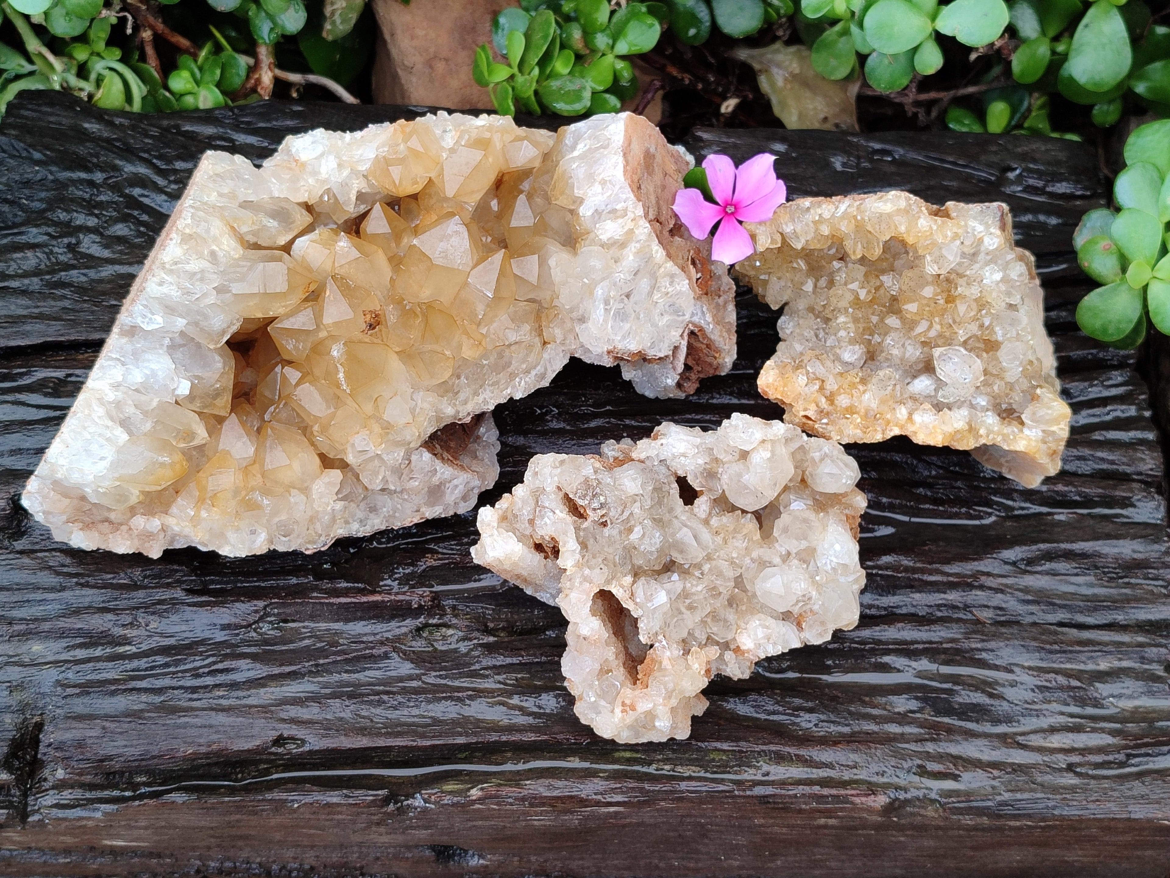 Natural Limonite Quartz Clusters x 3 From Solwezi, Zambia - Toprock Gemstones and Minerals 