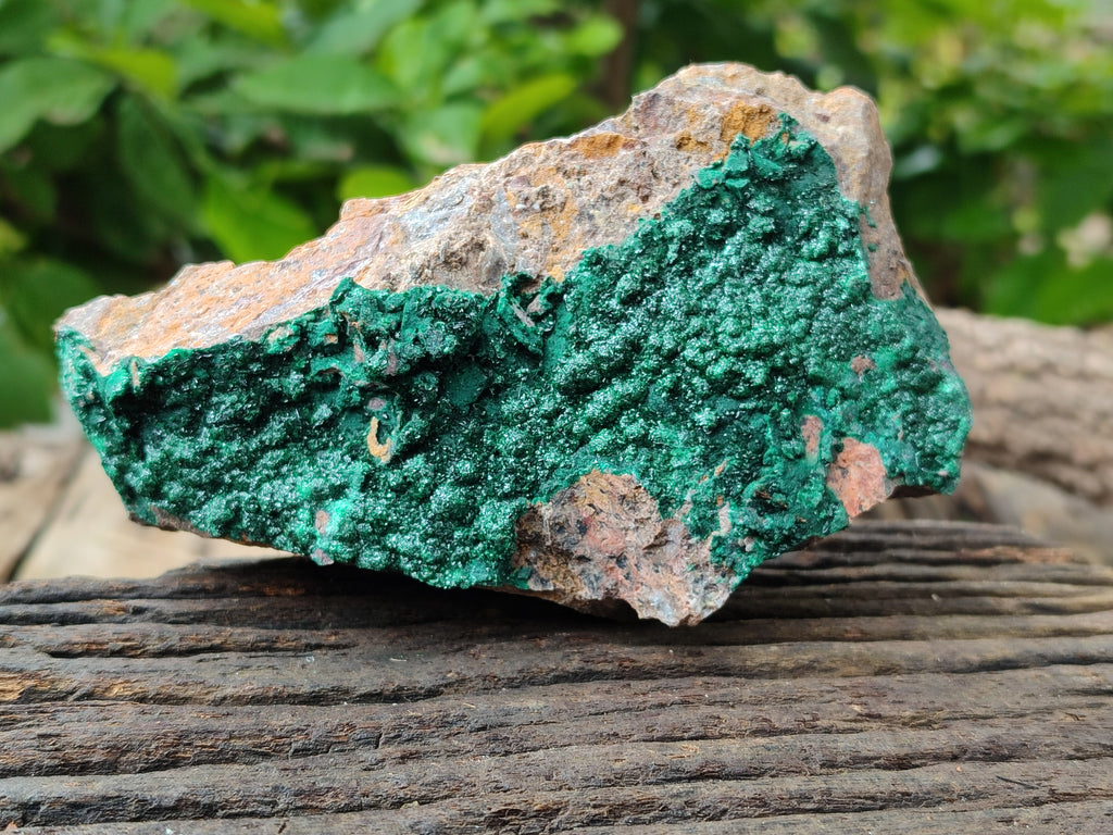 Natural Botryoidal Malachite Specimens x 5 From Tenke Fungurume, Congo - Toprock Gemstones and Minerals 