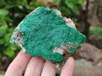 Natural Botryoidal Malachite Specimens x 5 From Tenke Fungurume, Congo - Toprock Gemstones and Minerals 