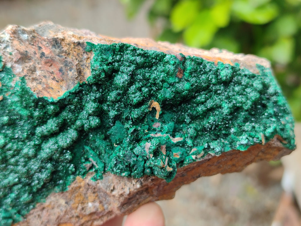 Natural Botryoidal Malachite Specimens x 5 From Tenke Fungurume, Congo - Toprock Gemstones and Minerals 