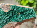 Natural Botryoidal Malachite Specimens x 5 From Tenke Fungurume, Congo - Toprock Gemstones and Minerals 