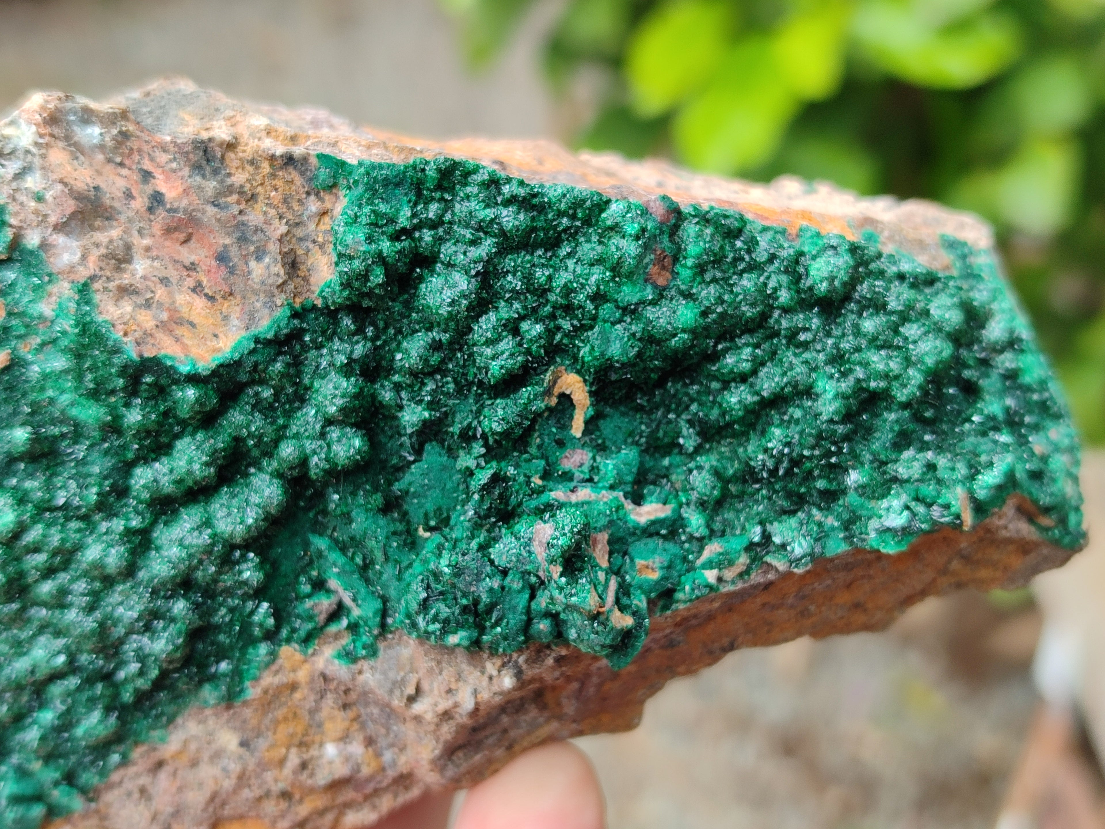 Natural Botryoidal Malachite Specimens x 5 From Tenke Fungurume, Congo - Toprock Gemstones and Minerals 