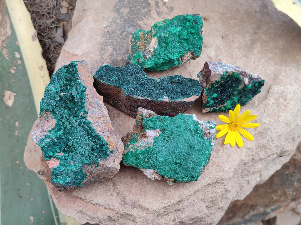 Natural Botryoidal Malachite Specimens x 5 From Tenke Fungurume, Congo - Toprock Gemstones and Minerals 