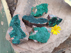 Natural Botryoidal Malachite Specimens x 5 From Tenke Fungurume, Congo - Toprock Gemstones and Minerals 