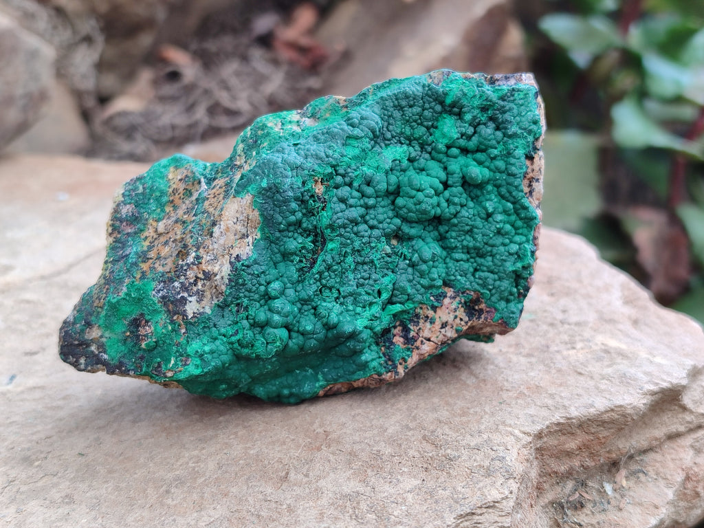 Natural Botryoidal Malachite Specimens x 5 From Tenke Fungurume, Congo - Toprock Gemstones and Minerals 