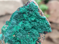 Natural Botryoidal Malachite Specimens x 5 From Tenke Fungurume, Congo - Toprock Gemstones and Minerals 