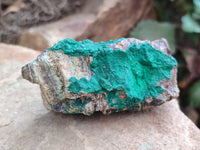 Natural Botryoidal Malachite Specimens x 5 From Tenke Fungurume, Congo - Toprock Gemstones and Minerals 