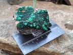 Natural Botryoidal Malachite Specimens x 5 From Tenke Fungurume, Congo - Toprock Gemstones and Minerals 