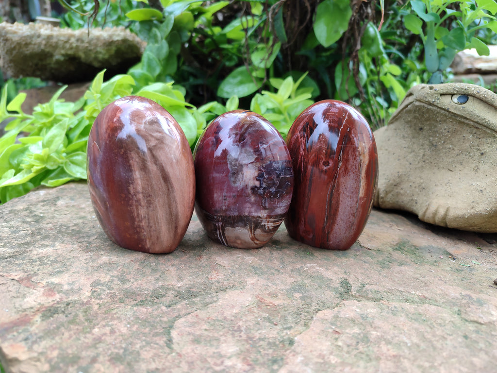 Polished Podocarpus Petrified Wood Standing Free Forms x 4 From Mahajanga, Madagascar - Toprock Gemstones and Minerals 
