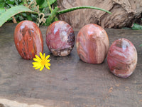 Polished Podocarpus Petrified Wood Standing Free Forms x 4 From Mahajanga, Madagascar - Toprock Gemstones and Minerals 