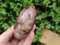 Polished Podocarpus Petrified Wood Standing Free Forms x 4 From Mahajanga, Madagascar - Toprock Gemstones and Minerals 