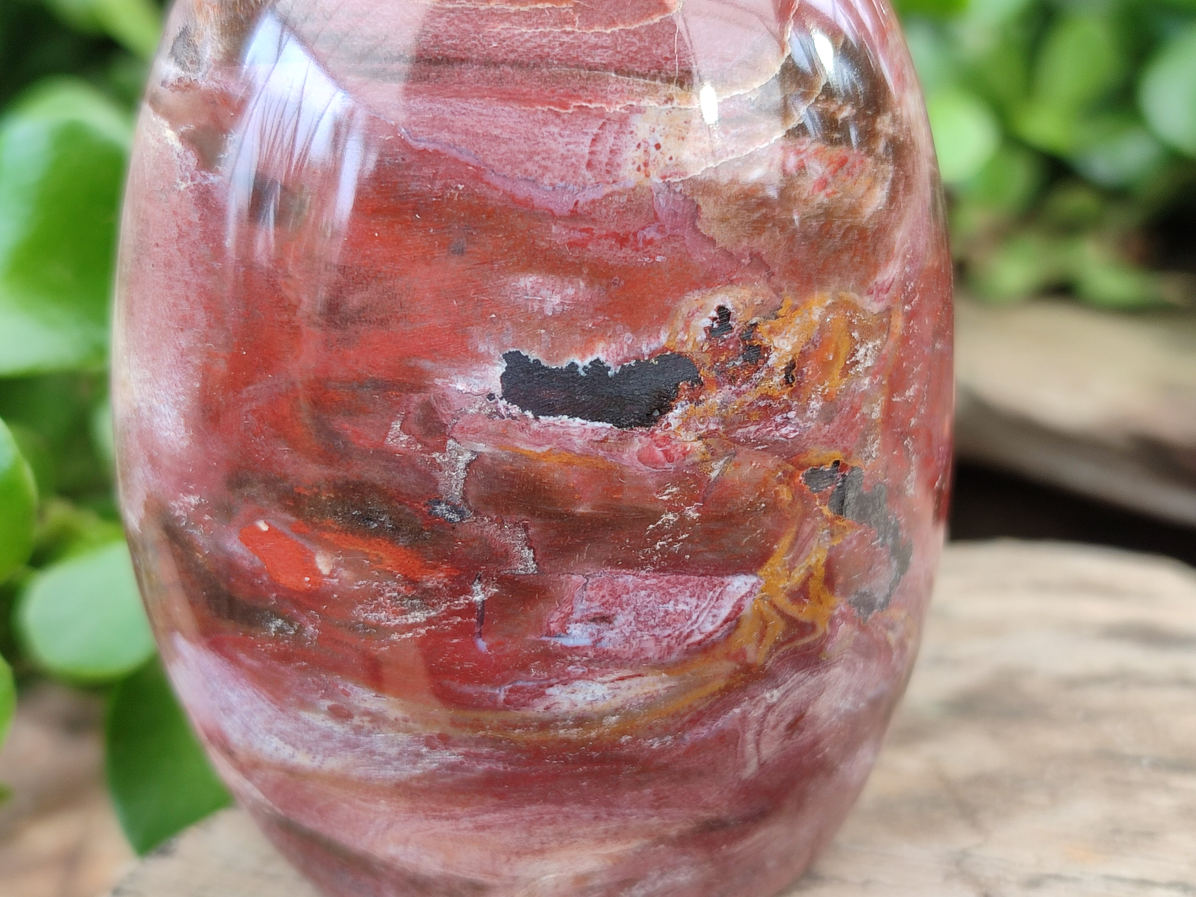 Polished Podocarpus Petrified Wood Standing Free Forms x 4 From Mahajanga, Madagascar - Toprock Gemstones and Minerals 