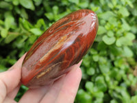 Polished Podocarpus Petrified Wood Standing Free Forms x 4 From Mahajanga, Madagascar - Toprock Gemstones and Minerals 