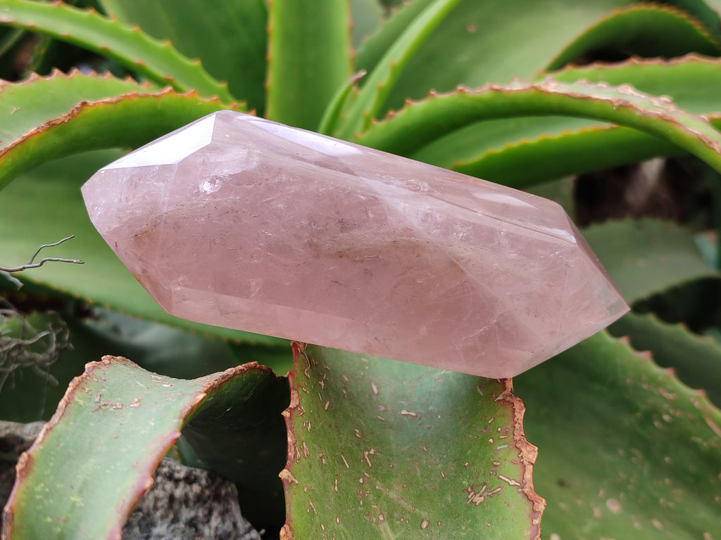 Polished Double Terminated Rose Quartz Points x 6 From Ambatondrazaka, Madagascar - Toprock Gemstones and Minerals 