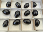 Polished Black Basalt Eggs x 12 From Antsirabe, Madagascar - Toprock Gemstones and Minerals 